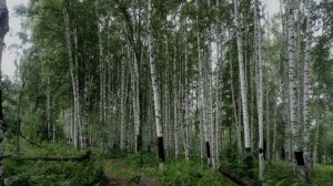 Панзас_Рыбалка_2021