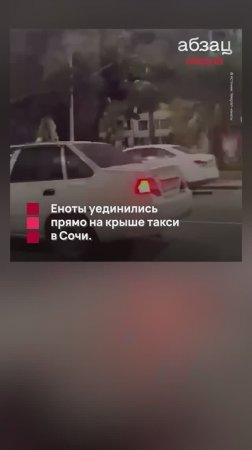 Скорость для любви не помеха