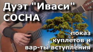 ИВАСИ - Сосна (показ вступления и куплетов)