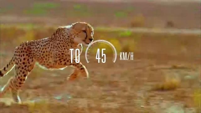 Klever Mobility   X Speed Pinion   45km h eBike   Speed Pedelec   Its a Jungle 021