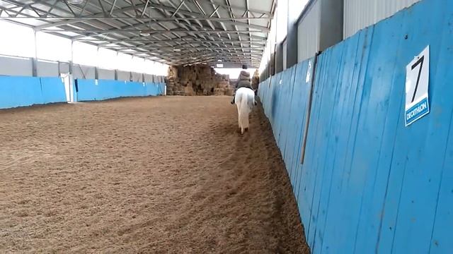 Опытный наездник смотреть онлайн