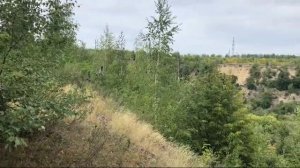 Урочище Широкий Буерак, Гагаринский район, Саратовская область