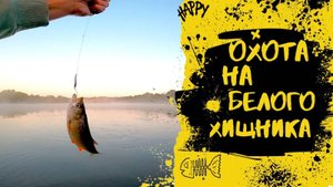 Охота на белого хищника I Нападение бобра на рыбака