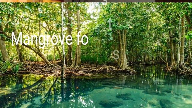 International Conservation Organisations (CITES) Biology//EducatorSharmin