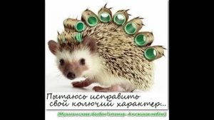 Богдан Титомир - А я ёжиков люблю