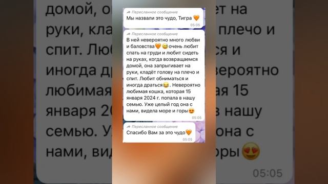 А как поживают наши выпускники дома?

Лучше всех! Смотрите сами!
#приветы_приютгк