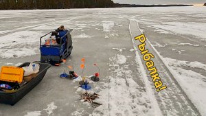 Ловля окуня зимой - рыбное место порадовало поклёвками