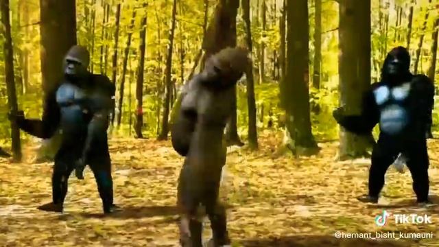 New gorilla dance new one song a смотреть онлайн