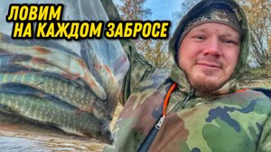 Рыбалка на Оби. Подведение третьего водомоторного сезона на комплекте Mishimo 370 Sport + Promax 9.9