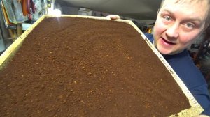 Зарабатываю в деревне. Формирую посылки. Перерабатываю чагу. Трутовик окаймлённый.