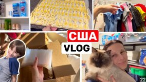 США ВЛОГ Распаковка посылки Выпечка от Лаврика Катя поëт Семейный ВЛОГ
