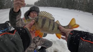 Не рыбалка а сказка, сначала кучка язей с одной лунки а потом кучка окуня с лунки.