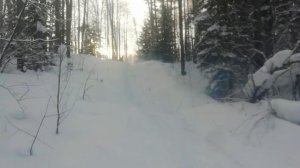 Снегоходы. Тайга патруль....