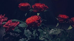 Стихи.Не спеша. Ощущения. Читает А.Ключук. (авторы разные)