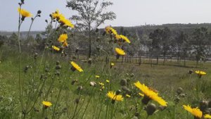 ВАНИНО ПОРТ . НАШЕ ЛЕТО !