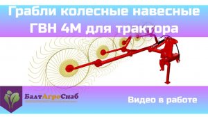 Грабли колесные навесные ГВН 4М для трактора