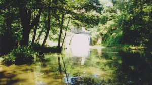 Природа России и отдых. Фото природы Калуги и Тарусы 90-х годов и начала нулевых.