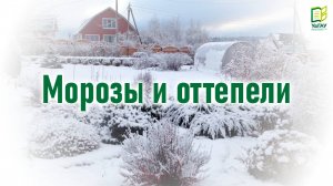 Огород с УдГАУ \ Морозы и оттепели