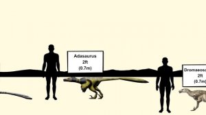 Dinosaur Size Comparison | Dromaeosaurs (Raptors)