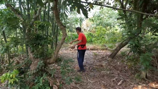 Secret Mekong Delta Island You Didn't Know About - Fish Farm in Asia. Can Tho, Vietnam Travel.