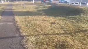 ДТП в Старой Станице на Кирпичном Заводе утром 29.12.2019 в 10 часов