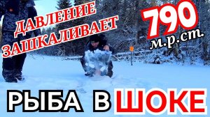 РЫБА В ШОКЕ|ДАВЛЕНИЕ ЗАШКАЛИВАЕТ| Чуть не ввалились на мотособаке| Рыбалка на жерлицы.