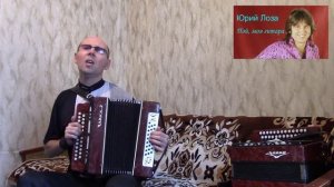 "Пой,моя гитара".(Кавер-версия).Гармонь.