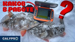 ЭХОЛОТ CALYPSO ТЕСТ НА РЫБАЛКЕ 🎣. КАК ПОКАЗЫВАЕТ РЫБУ? Поклевка на эхолот.