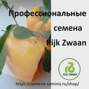 Иланга F1 сладкий оранжевый перец