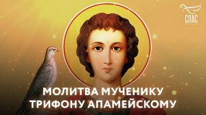 МОЛИТВА МУЧЕНИКУ ТРИФОНУ АПАМЕЙСКОМУ