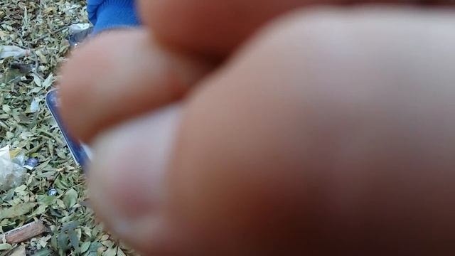 Краш-тест| Электронная книжка (IQ) смотреть онлайн