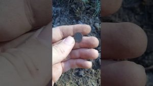 Приборный поиск в лесу. Много монет. Отличный коп.