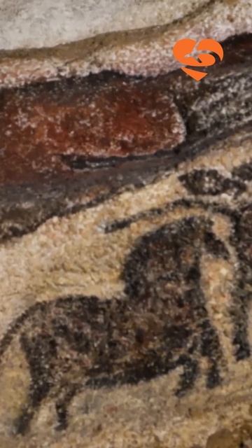 Don't miss the Lascaux Caves the world's oldest paintings #travel #shorts смотреть онлайн