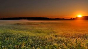 Я Устал !!!Армейские песни для души!!!