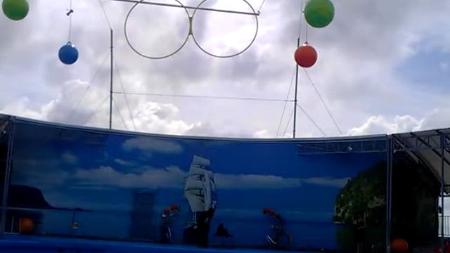 морской котик лилу смотреть онлайн