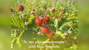 "Ах, эта земляничная поляна" - поэт Нина Игнатова