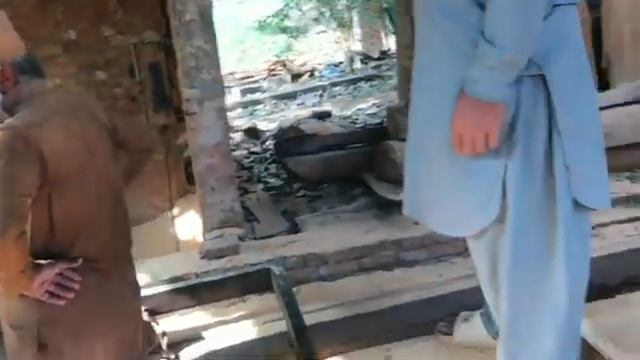 Переработка древесины в Индии смотреть онлайн