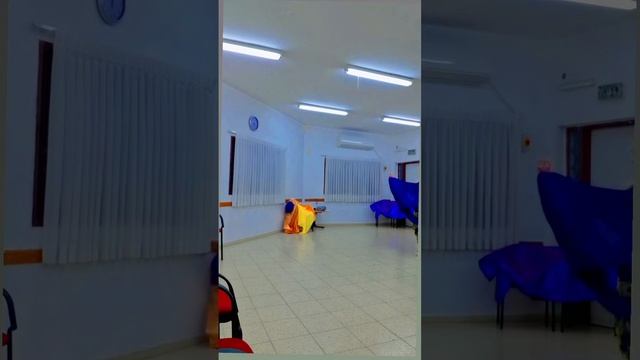 Мое выступление| Eastern Euphoria #love #video #shorts #fun #show #bellydance #dance #reels