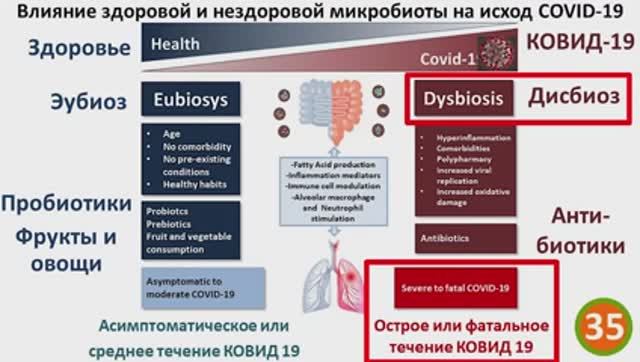 Противогрибковая антикандидная диета