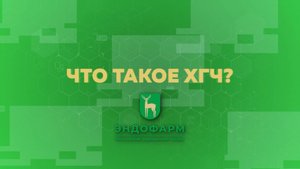 О проекте ХГЧ.РФ