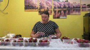 12 серия КЛУБНИКА замер сахара в брикс