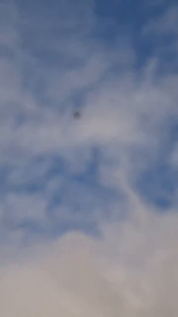 бакинский голубь полёт. смотреть онлайн