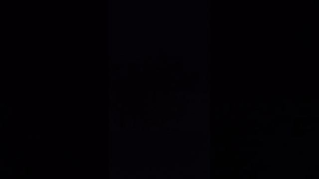 VID_20250212_154337