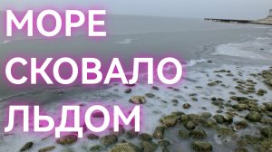 АЗОВСКОЕ МОРЕ ЗАМЁРЗЛО! Приехал в Приморско-Ахтарск посмотреть на море.