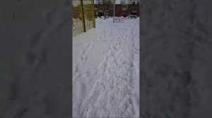 Приключения Вована!