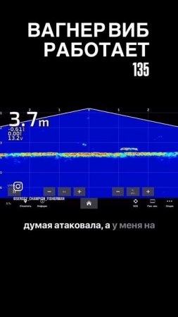 Вагнер ВИБ 135 - РАБОЧИЙ 💯👍✅