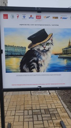 Кот 🐱 похож на Пулли