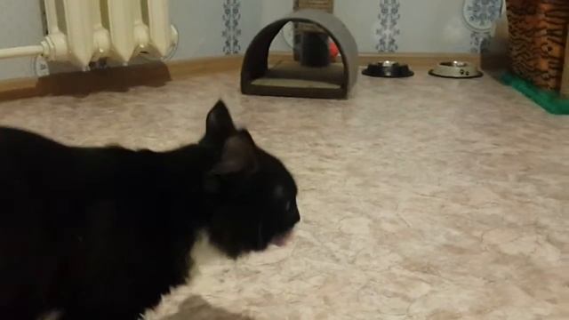 13 октября 2016 г. смотреть онлайн