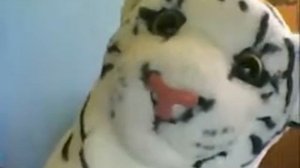 Тигр Шоу (1)|BrianMaps|удалёное видео|26.09.2007