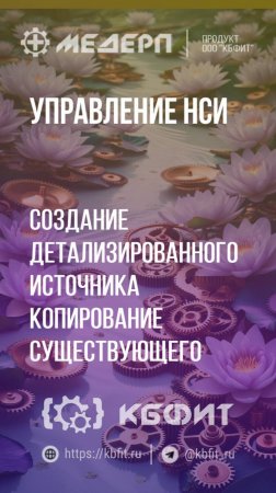 КБФИТ: МЕДЕРП. Управление НСИ: Создание детализированного источника: Копирование существующего